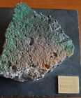  Original Genuine Color Piece of Berlin Wall on Special Slate Display with COA 