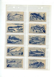 1954 Turf - British Fish - COMPLETE CARD SET (50/50) Condition VG-EX (140029)