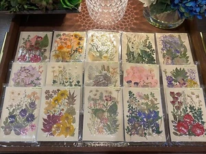 15 Sets Of Pressed & Dried Flowers Color Packs / Home Arts & Floral Craft - Picture 1 of 16