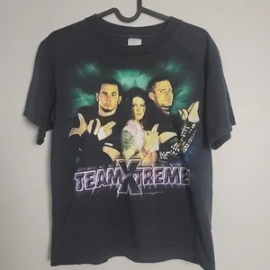 Rare Y2K Vintage WWF Team Xtreme Matt Jeff Hardy Boyz Lita WWE YOUTH MEDIUM - Picture 1 of 6