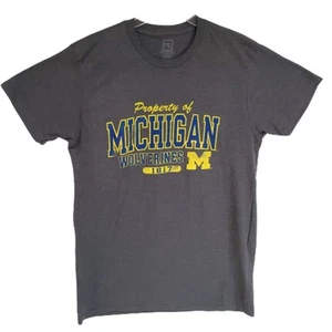 T-shirt Proedge Michigan Wolverines grigia L - Foto 1 di 4