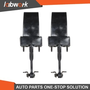 Labwork 2pcs Front Door Check 68169379AE For Ram Promaster 1500 2500 2014-2020 - Picture 1 of 12