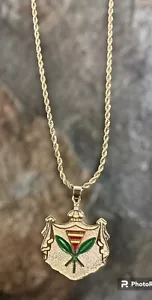 Gold Plated Multicolor Coat Of Arms Hawaii Mens Pendant & Rope Chain - Picture 1 of 2