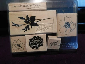 STAMPIN UP! Fabulous Florets Wood Mount STAMPS Set of 6 #123025 *GM* - Picture 1 of 3