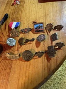 LOTE de 15 prendedores de colección Harley Davidson Owners Group HOG Harley Owners Group - Imagen 1 de 10