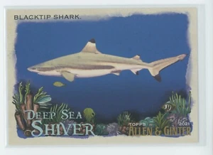 Topps Allen & Ginter 2021 - Blacktip Shark - Deap Sea Shiver Insert Set DSS-8 NM - Bild 1 von 2