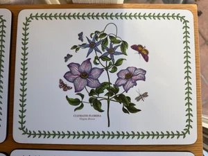 Tovagliette vintage Pimpernel & Portmeirion giardino botanico vendute singolarmente - Foto 1 di 8