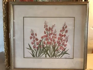 FIRE WEED IN ALASKA original watercolor By C.Pfeiffer,12x14,19x21 - Picture 1 of 6