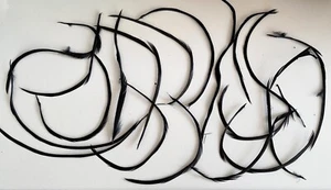 Bundle 19pcs Black Curled Goose Biot Feathers for Craft Millinery Hat Decor - Picture 1 of 7