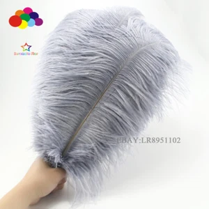 25-30 cm 50 piezas suministros de plumas de avestruz suministros artesanales accesorios de boda - Imagen 1 de 4