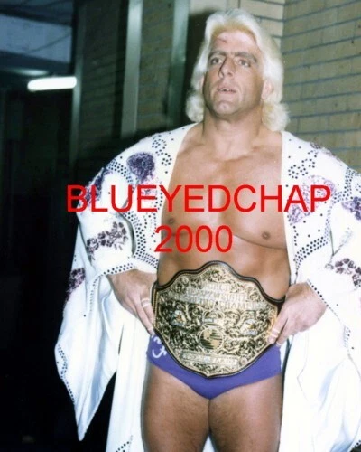 RIC FLAIR WRESTLER 8 X 10 WRESTLING PHOTO NWA WCW WWF - Image 1 of 1