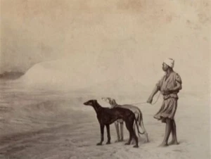 Photo Originale Goupil. Egypte. Relais de chiens dans le desert 34x30cm. 1880 - Imagen 1 de 8