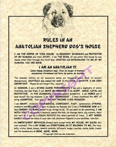 Rules In An Anatolian Shepherd Dog's House - Picture 1 of 1