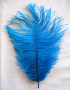 Turquoise Ostrich Feather Seconds 12-14 per SIX (6) - Picture 1 of 1