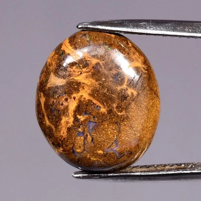 💎 10.83 克拉椭圆形凸圆形天然温顿矩阵巨石蛋白石 - 昆士兰宝石 — 第 1/4 张图片