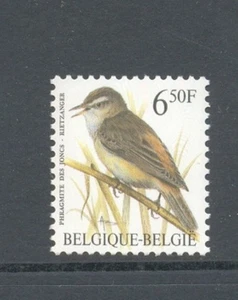 Belgio 1994 carice wren buzin bird MNH** 2577 - Foto 1 di 1