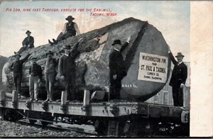 POSTCARD ONE FIR LOG ON RAILROAD CAR TACOMA WASHINGTON - 1907 - Picture 1 of 2