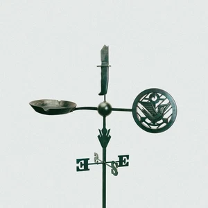 Jason Isbell and The 400 Unit Weathervanes (Vinyl) 12" Album - Picture 1 of 1