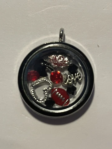 South Carolina Gamecocks NCAA Memory Charm Locket w/ 22 IN chain NEW Cover