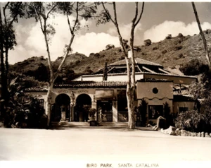 RPPC Santa Catalina CA Island Bird Park 1940s Real Photo Postcard - Picture 1 of 3