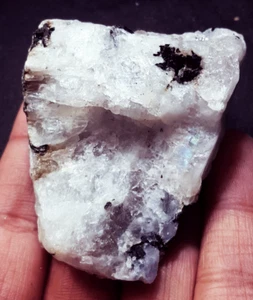 100 % natürlicher weißer Regenbogen Mondstein grob 428,70 ct zertifiziert loser Edelstein - Bild 1 von 6