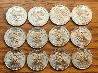 Lot of 12. 2020 P Salt River Bay ATB Quarters with Feeder Finger Scrapes. - Image 1 of 4