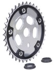GT 110mm bcd BMX bicycle Power Disc (SILVER) with 36T chainring (BLACK)