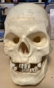 Vintage Realistic Human Skull 7" Tall Halloween Plastic Spooky Prop +  THING - Picture 1 of 8