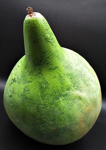 Arte popular natural lacado a mano vintage calabaza decoración verde claro grande - Imagen 1 de 6