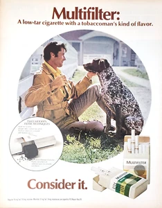 PRINT AD Multifilter Cigarettes 1971 10.5x13 German Shorthaired Pointer Dog - Bild 1 von 1