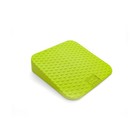 FitPAWS Balance Ramp | Dog Agility Equipment for Balancing, Obedience Trainin...