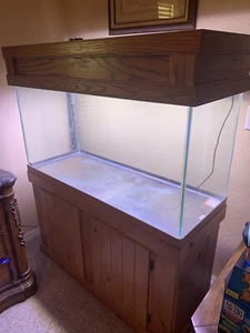 90 Gallon Aquarium w/ stand/filter/lights - Picture 1 of 4