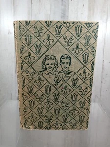 1930 1st Edition The BOBBSEY TWINS AT SPRUCE LAKE By Laura Lee Hope - Bild 1 von 12