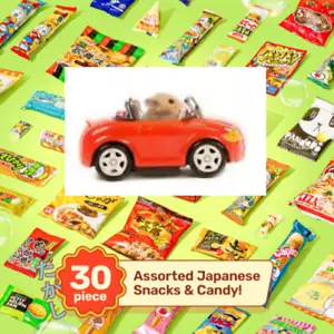 Japanese Snack Candy Gift Box Surprise 30 Tokyo Treats Dagashi Bites Lot Import - Picture 1 of 3