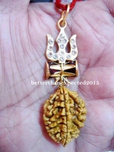 CERTIFIED 2 MUKHI (FACE) RUDRAKSHA RUDRAKSH TRISHUL DAMARU PENDANT~LAB CERTIFIED - Picture 1 of 2