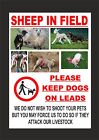SHEEP IN FIELD .. KEEP DOGS ON LEADS ..  SHOOT PETS LIVESTOCK metal farm sign