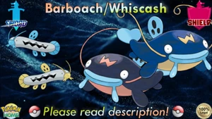 ⚔️Shiny/Non-shiny Barboach/Whiscash 6IV🛡️Pokémon Schwert/Schild HOME (💯Legal) - Bild 1 von 21