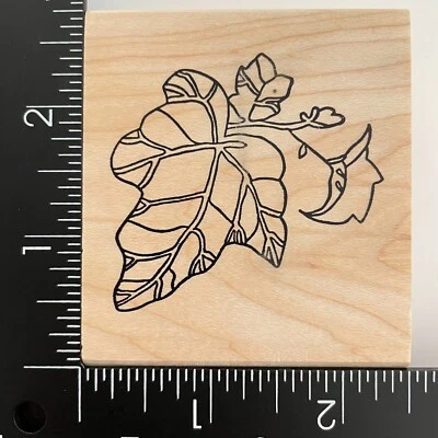 Carimbo de borracha montado em madeira JudiKins Paula Best Leaves 9657G - Imagem 1 de 3