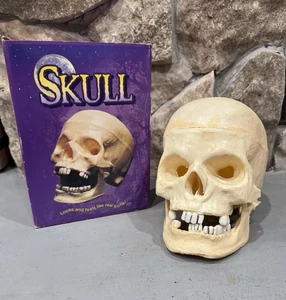 Teschio Halloween Il Gruppo Magico di Carta Si sente Un Vero Osso Spaventoso Lungo 9” 1996 - Foto 1 di 4