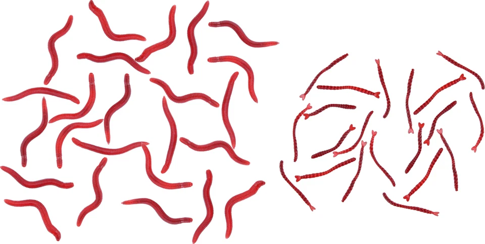 Würmer Angelköder Larven Gummiwürmer Kunstwürmer Forelle Karpfen  - Bild 1 von 1