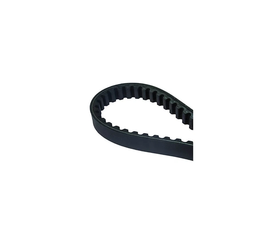 Ducati 900 Mostro / Ss / Femms / 944 ST2/907 Ie - Cinghia di Distribuzione Dayc - Immagine 1 di 1