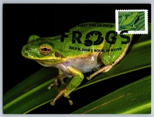 #5397 American Green Tree Frog FDC Maxi Card w/Pictorial Cancel - Picture 1 of 2
