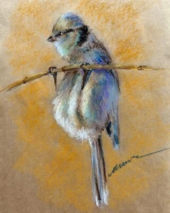 Bird Drawing ORIGINAL Tit Art Funny Animal Oil Pastel Painting 8x10 by Muura - Picture 1 of 9