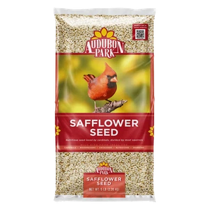 Audubon Park Safflower Seed Wild Bird Food, Dry, 5 lb. Bag - Picture 1 of 9