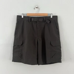 The North Face Paramount II Shorts Asphalt Grey Cargo Hiking NWT Mens Size 34 - Imagen 1 de 5