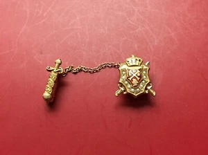 USA FRATERNITY PIN Badge Order  Medal  GOLD 10 K  Rare # 3 - Picture 1 of 5