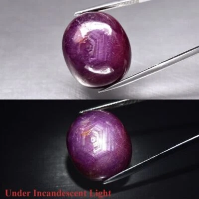 Certified Huge 50.68Ct Natural Reddish-Purple 6Ray Star Ruby Oval Cab Gem See VD - Image 1 of 4