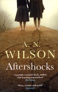 Aftershocks by A.N. Wilson novel earthquake impacts community humanity morality - Picture 1 of 1