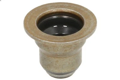 Dichtring, Ventilschaft REINZ 70-19255-00 für KIA OPTIMA (JF) 1.6 2018-2019 - Bild 1 von 4