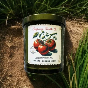LeoBen Soy Tomato Greens Moss Vines Cottagecore Candle Hippie Granola Girl 9 OZ - Picture 1 of 6